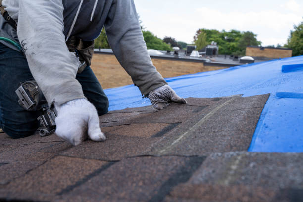 Best Residential Roofing Contractor  in Chapel Hill, TN